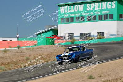 media/May-07-2022-Cobra Owners Club of America (Sat) [[e681d2ddb7]]/Yellow/Session 1 (Turn 4)/